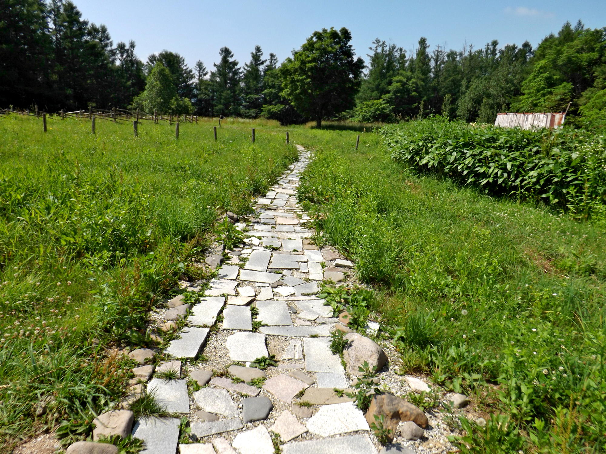北海道の道