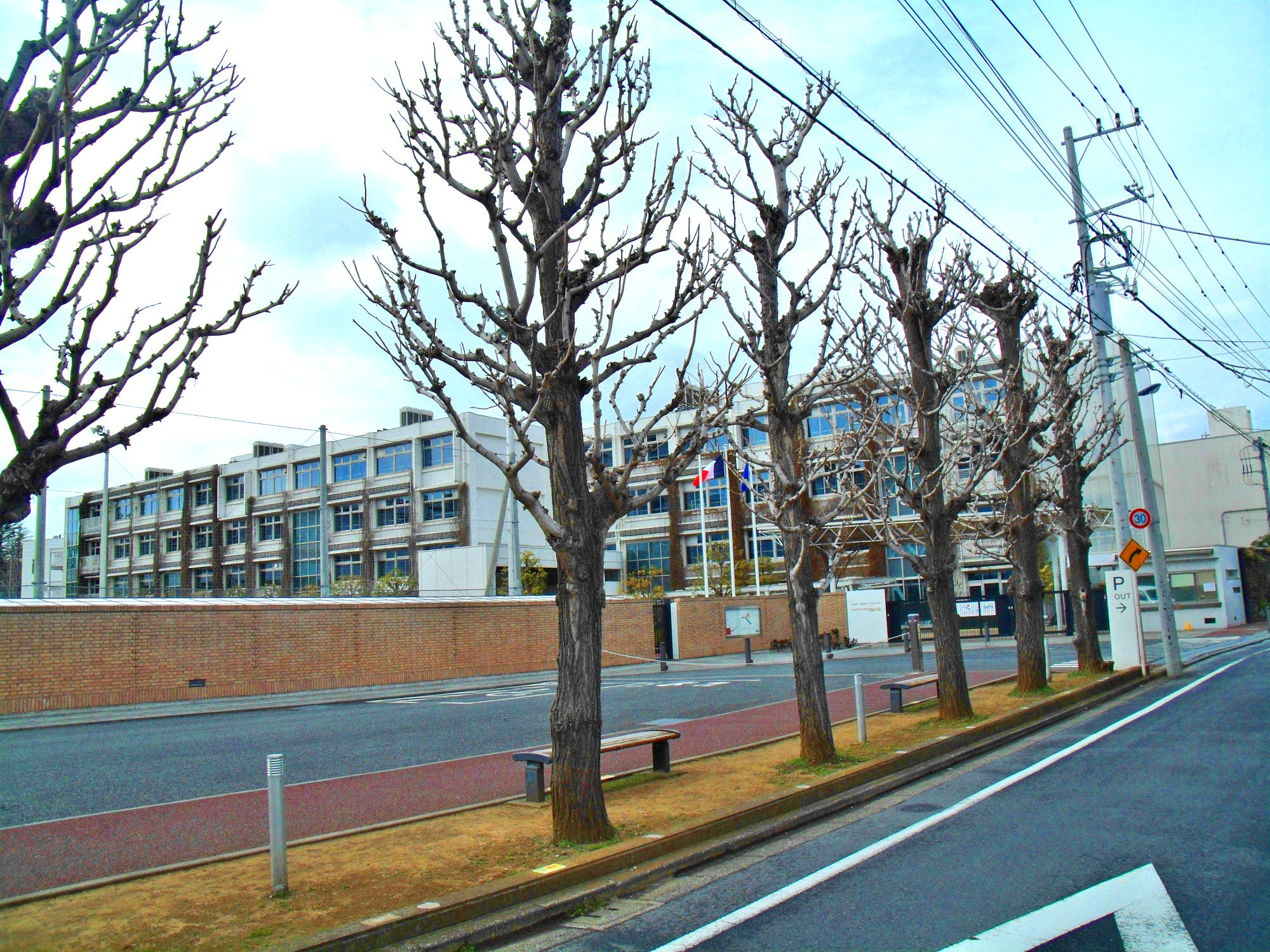 散歩道より