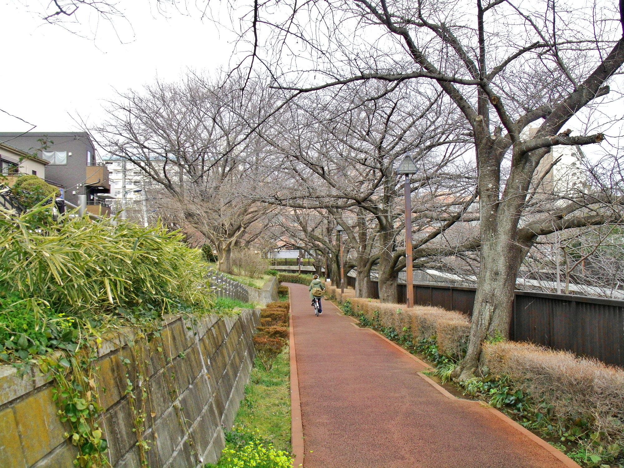 散歩道より